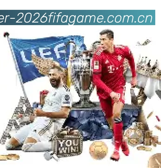 FIFA官方数据授权证书